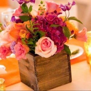 Meet your Posher, Evelyn